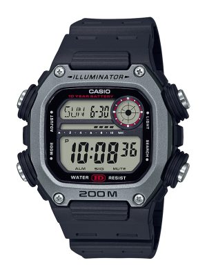DW291H-1AV
