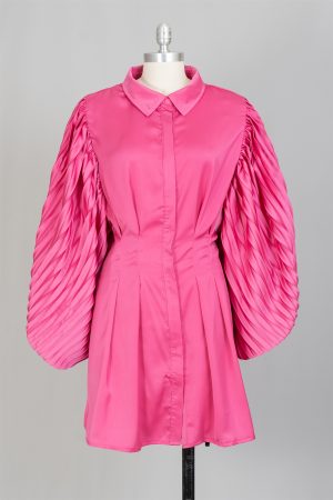 HIGHLIGHT DRESS W/PLEATED SLV